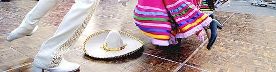 It all started with a wayward cockroach.