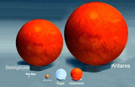 Getting them all to sit for this photo was the hard part. Getting them all to sit for this photo was the hard part.