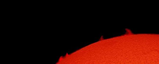 Probably as good as it gets until I buy the right camera. Photo by Brad Snowder.