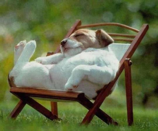 naptime