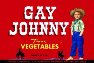 gayjohnny