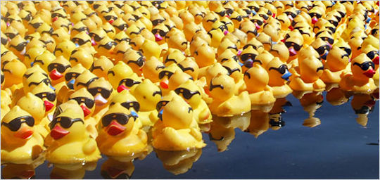 duckcluster