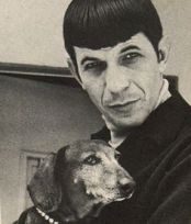 spockanddog2